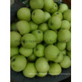 New Crop Fresh Apple/ Chines Fruits of High Quality